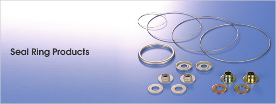 Seal Ring Products (image)
